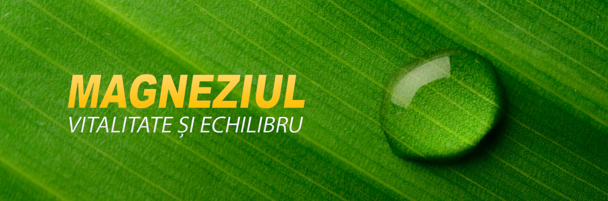 MAGNEZIUL, VITALITATE ȘI ECHILIBRU